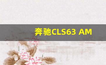 奔驰CLS63 AMG,二手奔驰哪款最值得入手